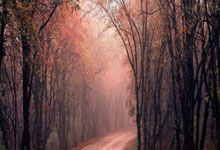 琼斯正式回归吉林男篮 与球队并肩作战第七个赛季.