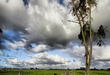 虎扑体育：中国篮协公布国家男篮短训营名单.