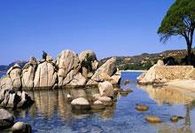 戴奇：孔帕尼让伯恩利背.亿镑债务然后去拜仁，这就是命运.